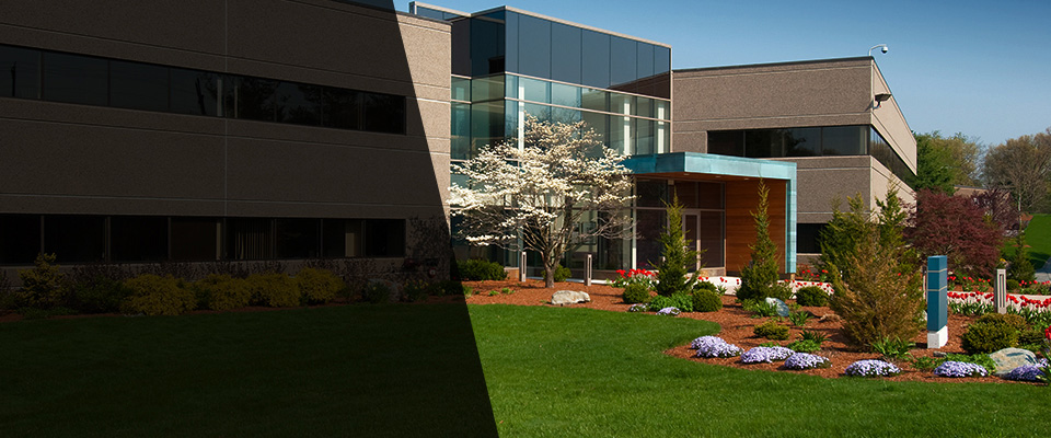 Mullica Hill Landscapers