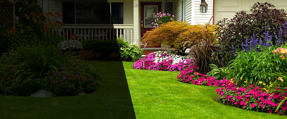 Mullica Hill Landscapers