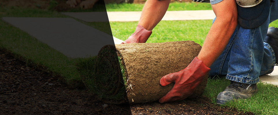 Mullica Hill Landscapers